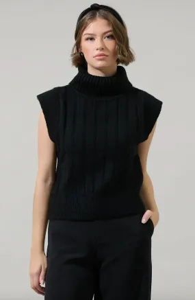 Anaya Turtle Neck Ribbed Sweater Top