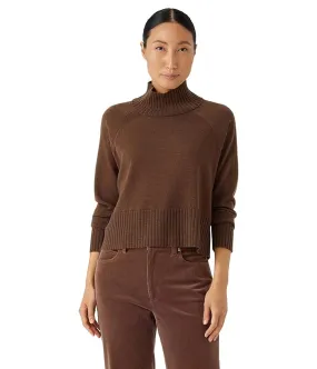 Eileen Fisher Turtle Neck Sweater