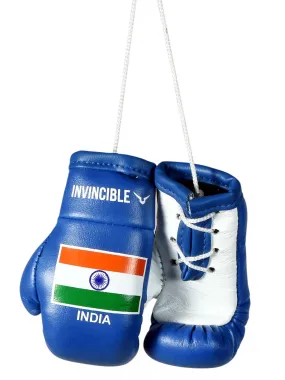 Invincible India Mini Boxing Gloves