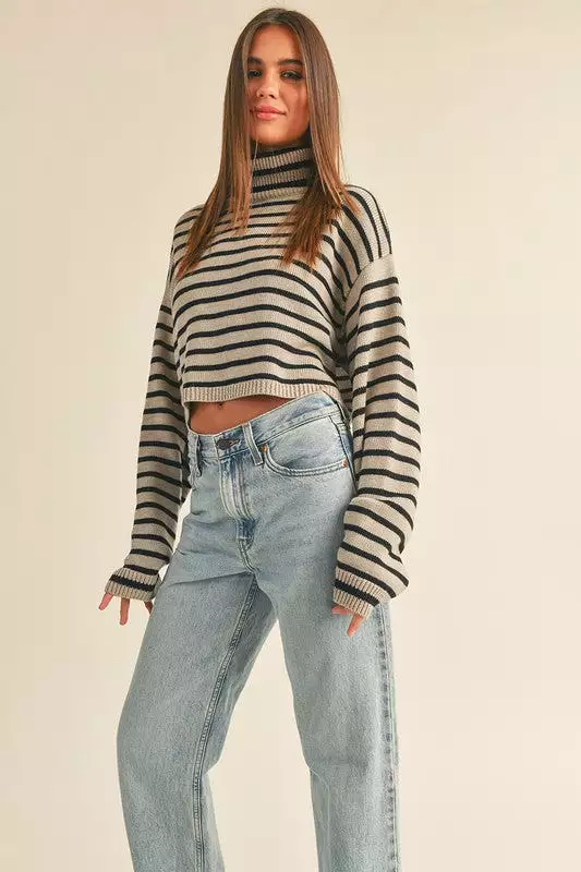 Striped Turtle Neck Sweater