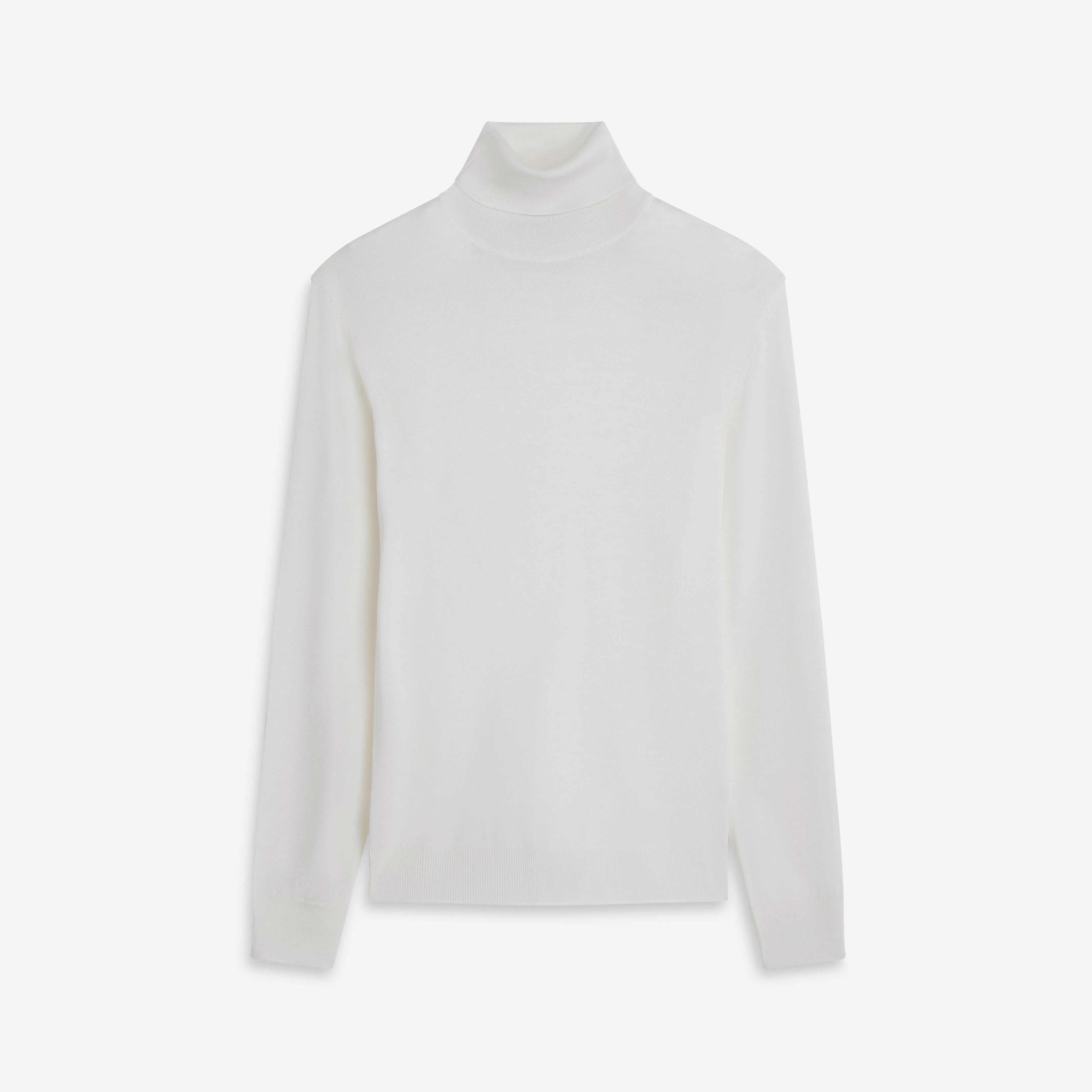 Turtle Neck Solid Sweater